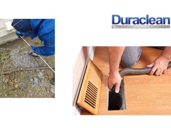 Refresh Your Furniture with Expert Local Upholstery Cleaning