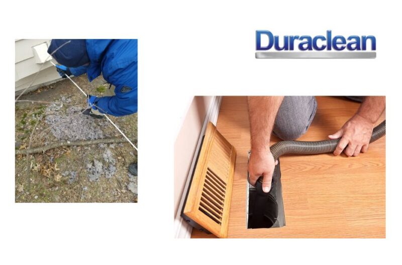 Refresh Your Furniture with Expert Local Upholstery Cleaning