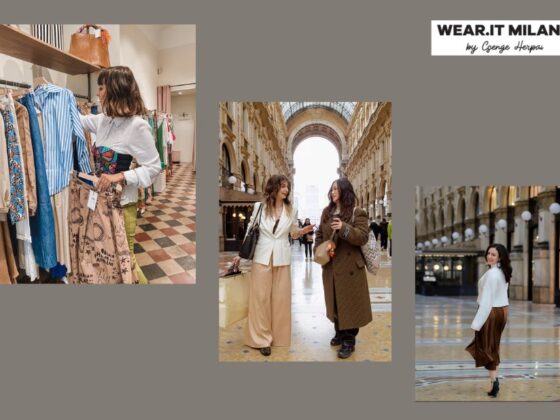 Elevate Your Wardrobe: Premium Online Styling Course for Professionals