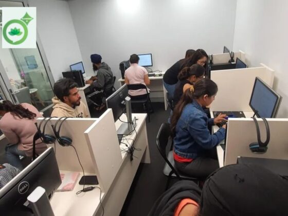 Master Hindi for NAATI CCL: Expert Coaching and Flexible Online Sessions