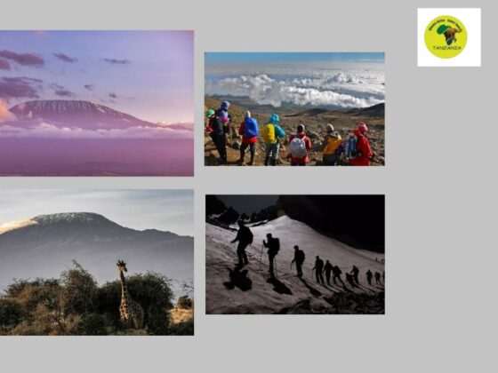 Tailored Serengeti luxury safari – unforgettable wildlife & private itineraries