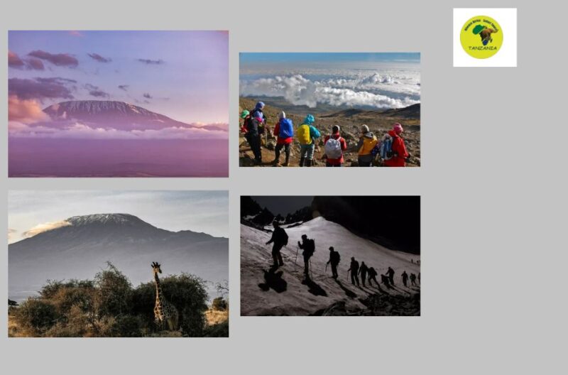Tailored Serengeti luxury safari – unforgettable wildlife & private itineraries