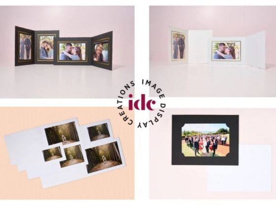 Showcase Your Documents with a Durable Display Binder