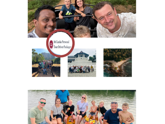 Discover Unforgettable Sri Lankan Adventures: Customisable Island Tours