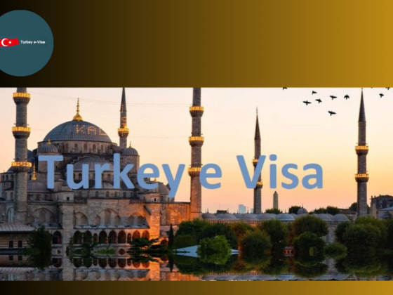 Secure Your Turkish Entry: Easy Guide for Pakistani Applicants