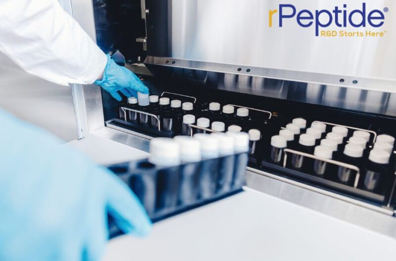 Exploring Key Alzheimer’s Research Peptides for Lab Studies