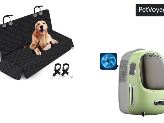 Taking Your Pet Abroad: Practical Tips for Stress-Free Travel