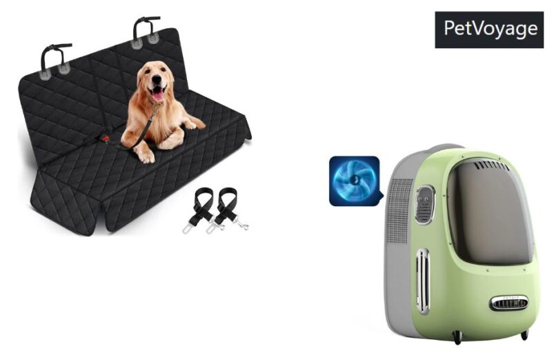 Taking Your Pet Abroad: Practical Tips for Stress-Free Travel