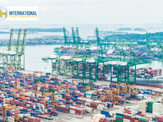 Discover Reliable Local Freight Solutions for Your Shipments