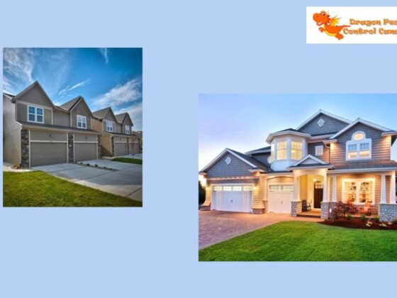 Protect Your Outdoor Space This Summer with Local Mosquito Solutions