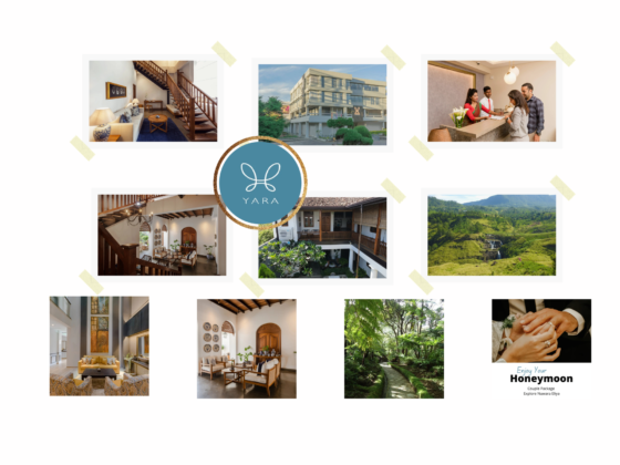 Discover Serene Sri Lanka: Independent Traveller Friendly Stays