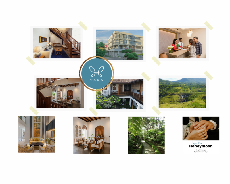 Discover Serene Sri Lanka: Independent Traveller Friendly Stays
