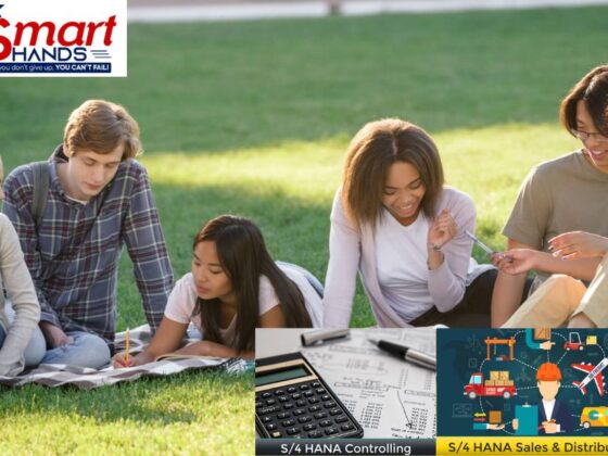 Master SAP SD: Practical Skills for Real-World Sales and Distribution