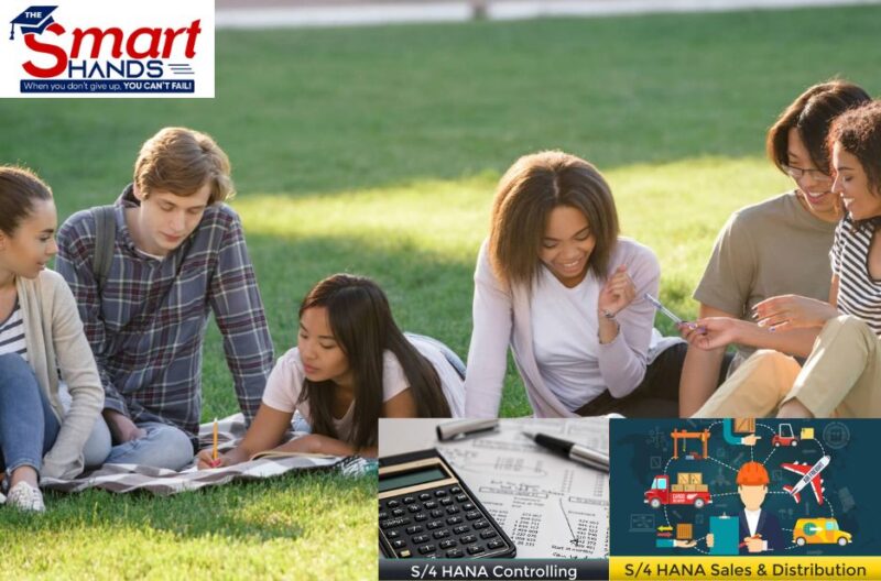 Master SAP SD: Practical Skills for Real-World Sales and Distribution