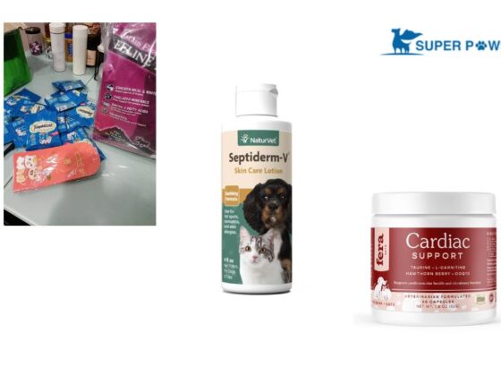 Wholesome, Raw-Inspired Pet Nutrition for Busy Owners