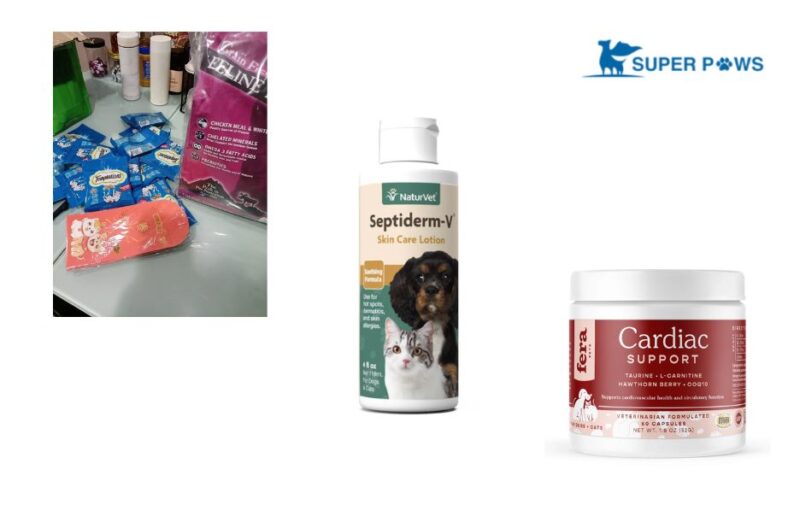 Wholesome, Raw-Inspired Pet Nutrition for Busy Owners