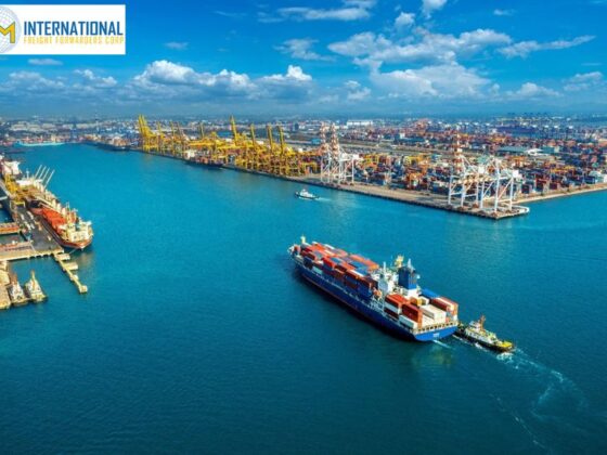 Global shipping solutions for modern businesses seeking reliable freight support