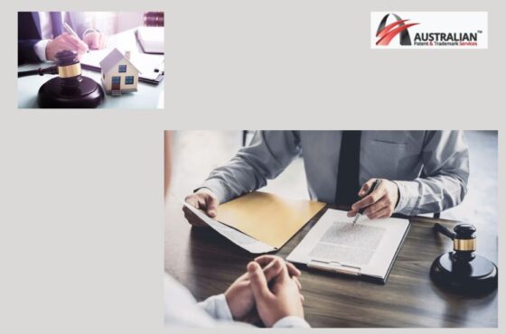 Safeguard Your Brand with Expert IP Guidance