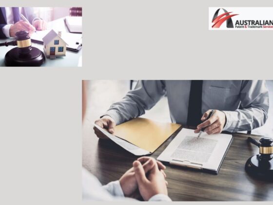 Safeguard Your Brand with Expert IP Guidance