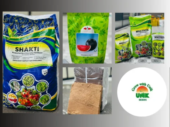 Buy Vegetable Seeds Online for Healthy, High-Yield Garden Growth
