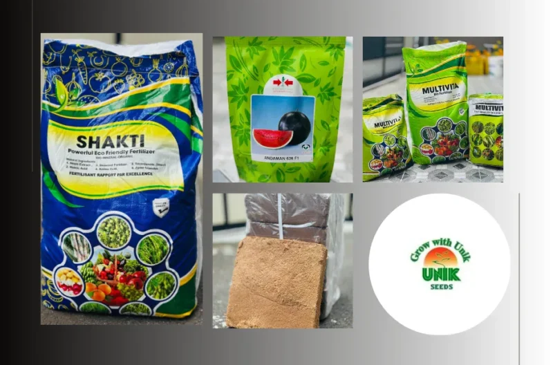 Buy Vegetable Seeds Online for Healthy, High-Yield Garden Growth