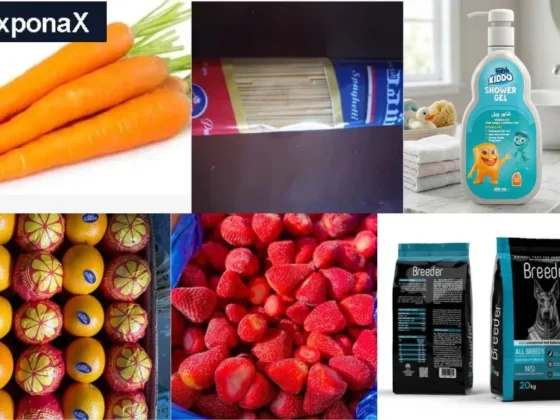 Top IQF Frozen Fruit Supplier in Africa for Wholesale and Export