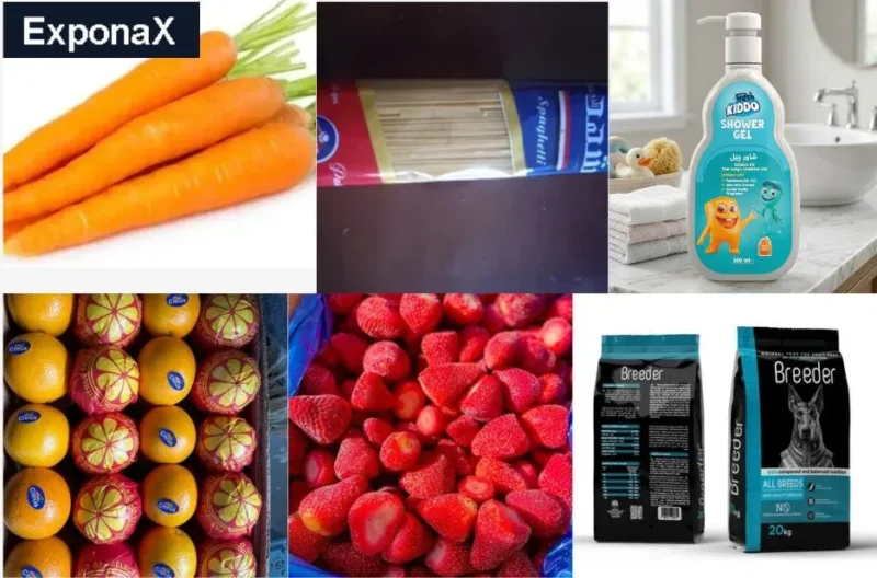 Top IQF Frozen Fruit Supplier in Africa for Wholesale and Export