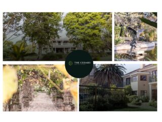 Finding the Right Recovery Path: Johannesburg Rehab Help