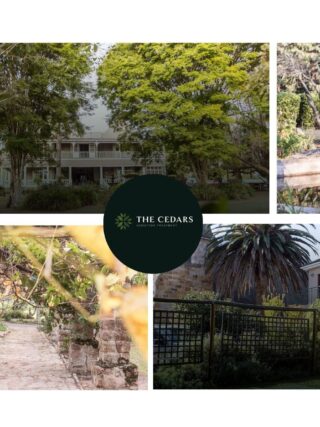 Finding the Right Recovery Path: Johannesburg Rehab Help