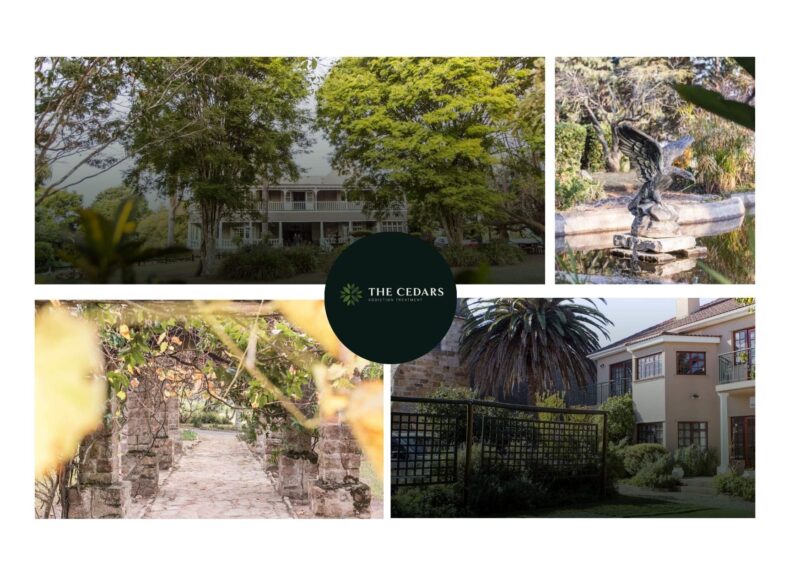 Finding the Right Recovery Path: Johannesburg Rehab Help