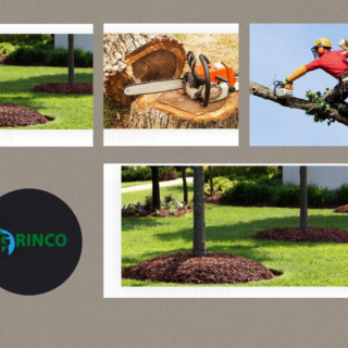 Tree Mulching in Melbourne for Healthier Garden Soil | Grinco