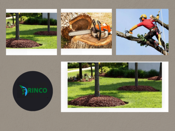 Tree Mulching in Melbourne for Healthier Garden Soil | Grinco