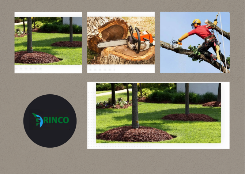 Tree Mulching in Melbourne for Healthier Garden Soil | Grinco