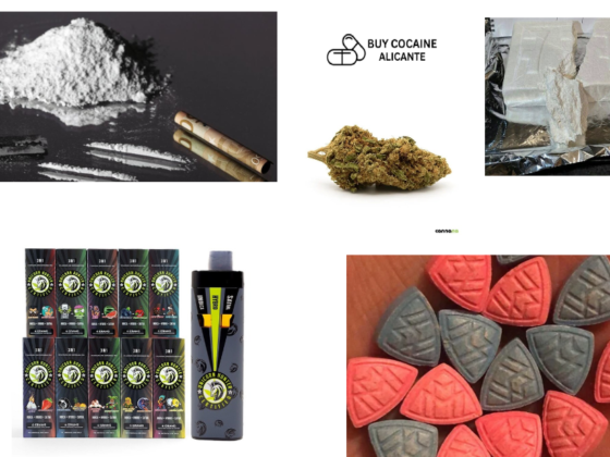 Alicante Cocaine Buyer-Intent Guide and Legal Risks