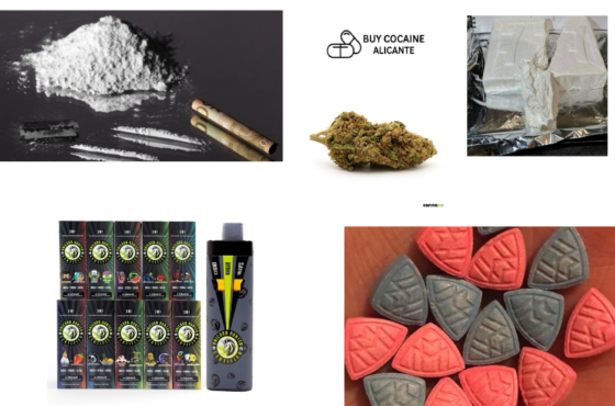 Cocaine Alicante: Key Risks, Effects, and Support Info